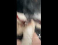 Collab BitchMP - Dog has funny face 