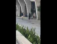 Girl black coat pink bag walk  street