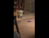 Orange cat secretly opens food container