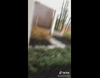 Girl chases turkey bird womans rights