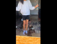 Black dog dances to music with owner