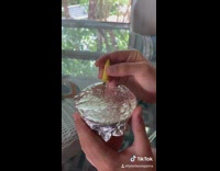 Tiktok guy catches fly puts on string