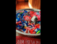 Pet Rats Stand Atop Bowl Filled with Candies
