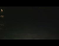 Group of fish jumps from the lake when lighted