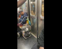 Two parrots sit in train 
