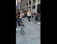 Rizzbot flipping off at biker 