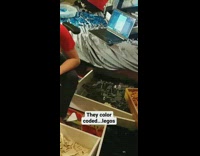 Boys separate legos by color