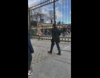 Woman posing dress fence gold gate