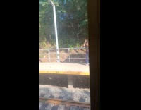 Collab Subway Creatures - Man swings arms upfront at train platform