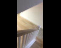 Two dogs play then stops when owner came