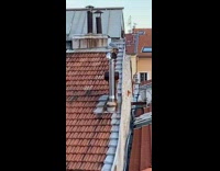 Seagull spinning while sitting on metal chimney