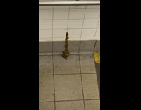 Poop drips down wall on subway station stairs