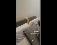 Cat hides on bed under pillows filter