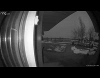 Ring camera of dad who slips on icy driveway