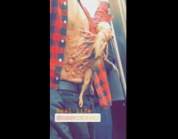 Train halloween costume fetus connected to stomach