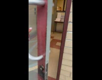 Dog in shelter gets nursed back to health