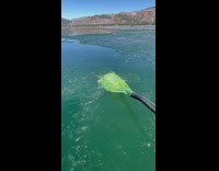 Person paddle lake with ice shards asmr