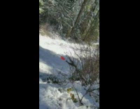 guy black outfit red sled falls off slope
