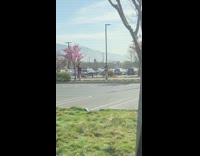 woman holds pink leaf tree lot