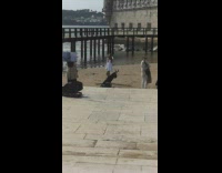 Woman in white dress poses with violin music