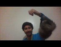 Cat hang and fall from arm sleeve