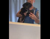 Flip switch black puppy dog wears jacket