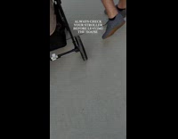 Cat in basket under stroller