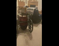 Girl does wheelie on wheelchair fail