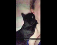 Black cat licks ear girl in bed 