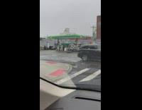 Woman pulls Christmas tree on sled 