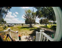 White crane knocks on door ring camera