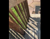 Collab Clips MPUGC2 - Dog brings hooman a dead bird 