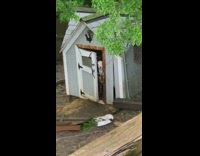 Small goats peeking head out of small shed
