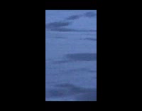 Guy mistakens mom for fire hydrant sledding