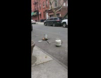 Unattended metal bin being burned on the street