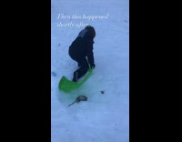 People ride sleds by dead rat pt. 2 
