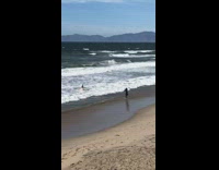 Woman pink dress run beach waves swim 