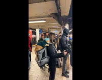 Cat sits on top of pet carrier 