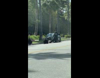 Woman in gothic outfit with a pet dog on the street