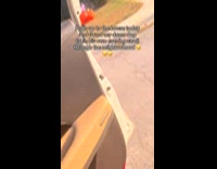 Dog found by filmer outside the house 