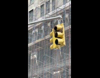 Collab WINY - Swarm of bees on traffic light firemen