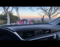 Group girls picnic park balloons cameraman tree