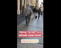 taking rat tail to new level