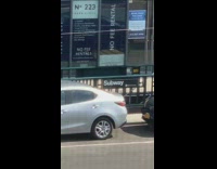 Dinosaur costume walks down subway stairs 