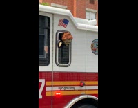Collab WINY - Creepy doll peek on window of firetruck