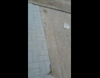 Newborn puppies cuddle and sit in corner 