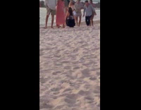 Group of friends danced on the beach shore