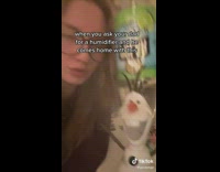 Olof frozen snowman humidifier 