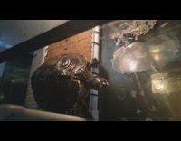 Pet turtle on the aquarium fed and swam Part 2