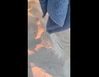 Collab Clips MPUGC - Towel moves like pendulum makes pattern on sand